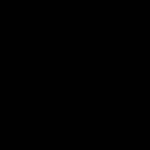 Meet your Posher, King